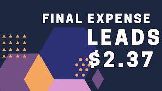 I Generated 117 Final Expense Leads @$2.37