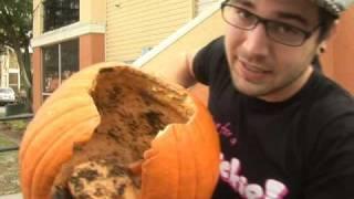 How To Destroy Pumpkins!