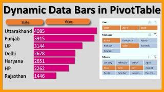 Dynamic Data Bars in Excel Pivot Table | Excel Dashboard Tips