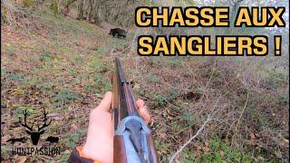 CHASSE AUX SANGLIERS - 2020