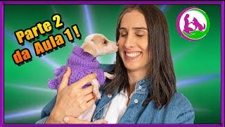 Como adestrar um filhote de cachorro - Parte 2 da primeira aula!