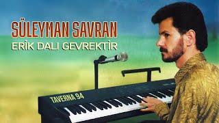 Süleyman Savran - Erik Dalı Gevrektir