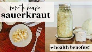 HOW TO MAKE YOUR OWN SAUERKRAUT | 2 Ingredient Recipe + Health Benefits | Becca Bristow