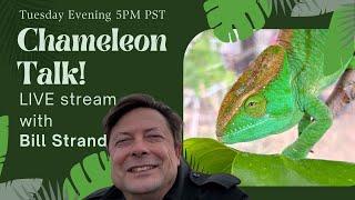 Chameleon Chat