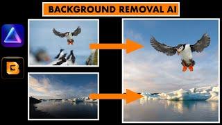 Luminar Neo - Easy Background Removal with AI