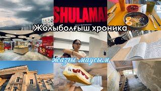 Қазақша влог. Медта оқитын студенттің күнделікті өмірі. Daily vlog video. Med student day.