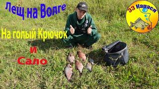 Лещ на Волге на тверскую кормушку рыбалка 2024 видео рыбалка #рыбалка #fishing #fishingvideo