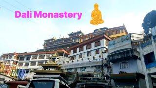 Antim Month Ko Medicine Linu Gako||Darjeeling Tour||Phunsuk Art&Vlog (InsP)...