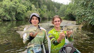 Yabba Creek Bass Fishing (seq)