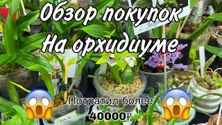 Обзор покупок на орхидиуме || Потратил более 40000₽ на орхидеи  || Новинки в коллекции  