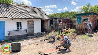 Разобрали старые постройки. Привезли новую живность.