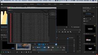 How to Fix Frame Substitution Error in Adobe Premiere Pro 2023