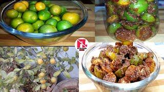 How to make Chinese orange pickle | नारगी का आचार