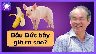 Sau chuỗi ngày nợ nần, Bầu Đức giờ ra sao?