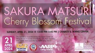 Sakura Matsuri: Cherry Blossom Festival at the Charles B. Wang Center