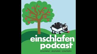 EP 509 ~ Bäume, Büsche und Goethe