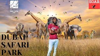 DUBAI SAFARI PARK ADVENTURE PART 1