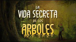 La Vida Secreta De Los Árboles: INTRODUCCIÓN Y ENSEÑANZAS