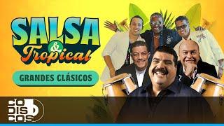 Salsa Y Tropical, Grandes Clásicos