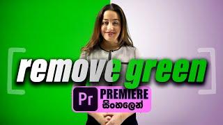 How to Remove Green Screen (Ultra Key) in Adobe Premiere Pro | Sinhala