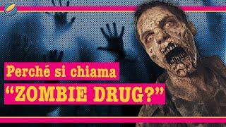 Xilazina | La Sostanza Che Rende ZOMBIE