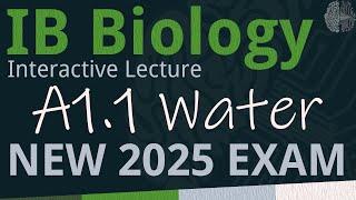 NEW 2025 EXAM - IB Biology A1.1 - Water [SL/HL] - Interactive Lecture