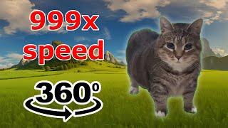 oiiaoiia cat original vs 999x speed | spinning cat meme 360º