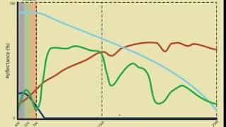 Spectral signatures