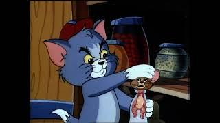 Tom and Jerry Kids Show (1990–1993) - Intro Theme