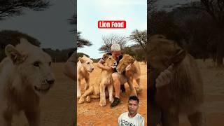 Lion Food #shorts #animals #youtubeshorts