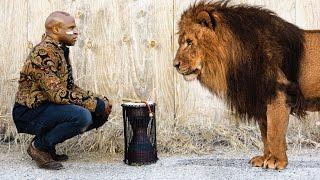 Heart of A Lion - Alex Boye'