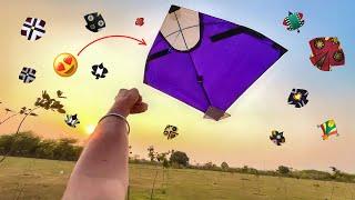 BIG KITE LOOTING FROM GROUND *Bhot Sari Patang Looti| Catching Kites #kitelooting #2025