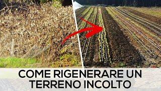 Coltivare iniziando da un ROVETO - La storia del Progetto Agricolo Entroterra