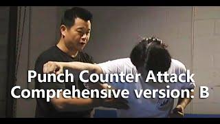 Punch Counter Attack Comprehensive version: B #foryou#SelfDefense#Gongfu#Qinna