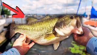 I Have 6 Hours To Catch 5 BIG BASS... (Lake Break)