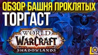 ТОРГАСТ БАШНЯ ПРОКЛЯТЫХ ОБЗОР И ВПЕЧАТЛЕНИЯ WOW SHADOWLANDS