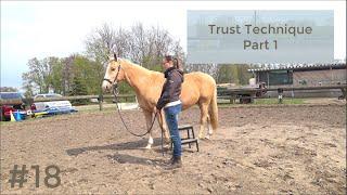 Let's Horse #018: Trust Technique Part 1 - Objekt mit einbeziehen