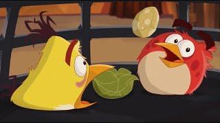 Angry Birds Toons The Miracle of Life but every time something sus happens a vine boom plays