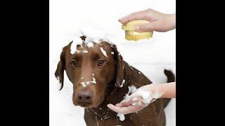 Transform Your Pet's Grooming Routine with the Ultimate Pet Grooming Glove!