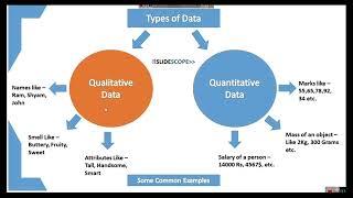 Data Science vs Data Analytics vs Machine Learning - August 2024