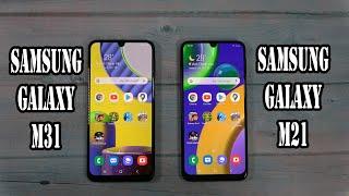 Samsung Galaxy M31 vs Samsung Galaxy M21 | SpeedTest and Camera comparison