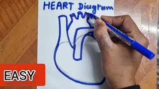 Easy Human Heart Diagram drawing 2025