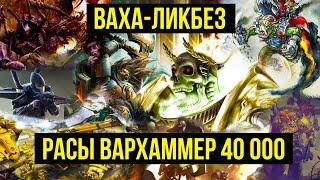 Расы Warhammer 40000. Ваха-ликбез. Ork-FM @Gexodrom