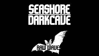 Seashore Darkcave - Myotis Vivesi