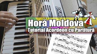 Tutorial "Horă Moldova" pentru Acordeon (Cu Partitură)