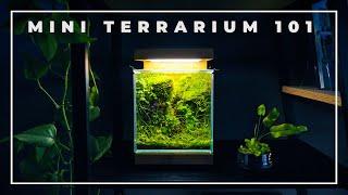 The 'BOXES of NATURE' | Mini Terrarium 101