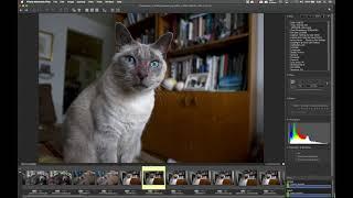 Working with Exif data in Photo Mechanic Plus