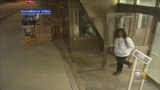 Video Shows UIC Murder Suspect's Path