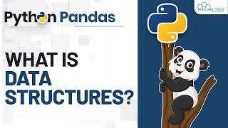 Data Structure - Explained in Hindi | Complete Python Pandas Tutorial