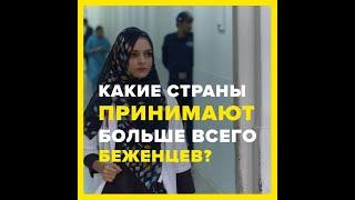 Какие страны принимают больше всего беженцев?